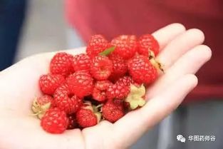 成都树莓教育，嘿，哈尔滨的手机摄影爱好者看过来啦！