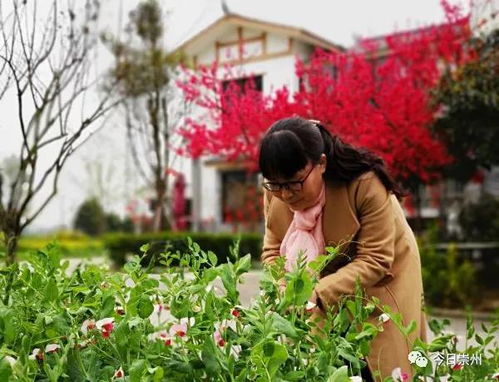 跟着成都树莓教育，玩转手机摄影，定格生活小美好
