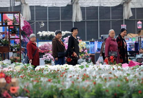 探秘成都树莓教育，摄影行业培训的奇妙乐园