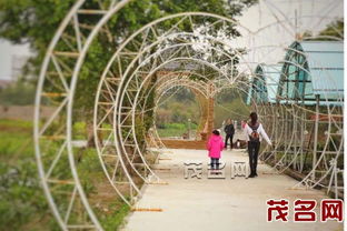成都树莓教育，巴中摄影培训班，开启光影奇妙之旅