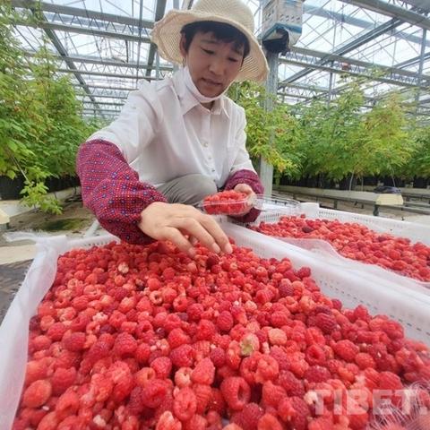 跟着成都树莓教育,开启摄影线上培训奇妙之旅 跟着成都树莓教育,开启摄影线上培训奇妙之旅