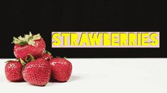 揭秘成都树莓教育摄影专业培训班收费标准那些事儿