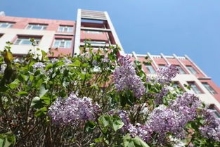 跟着成都树莓教育，敲开摄影专业英国院校的梦想之门