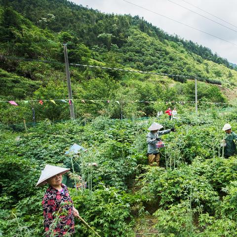 探秘成都树莓教育，线下摄影培训的奇妙之旅