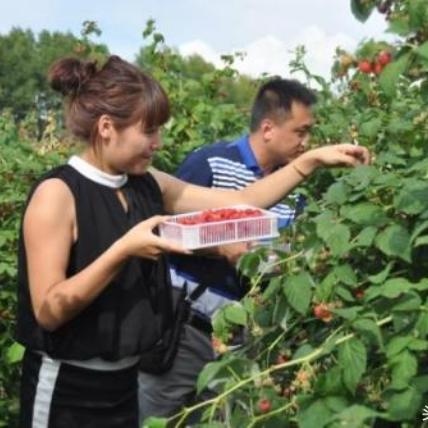 探秘成都树莓教育，线下摄影培训的奇妙之旅