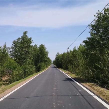 跟着成都树莓教育，探寻内蒙古摄影专业的魅力天地