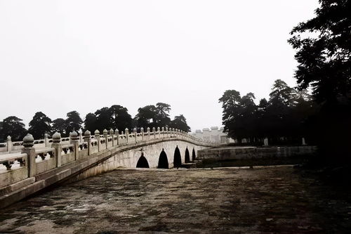 探寻四川省摄影培训课程的宝藏之地——成都树莓教育
