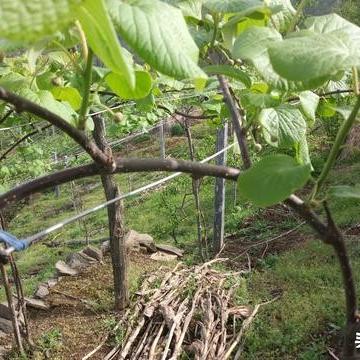 在成都树莓教育，零基础开启摄影奇妙之旅