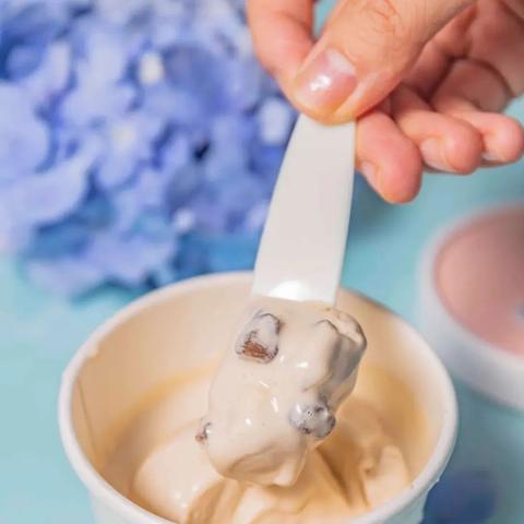成都树莓教育，探寻厦门摄影培训班的光影魅力