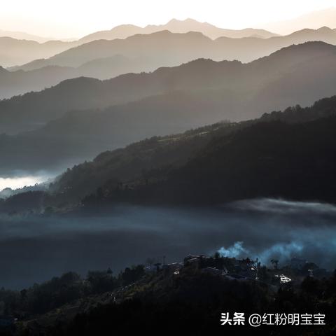 跟着成都树莓教育，轻松学制作短视频，秒变摄影达人！