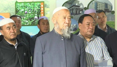 嘿，在太原探寻摄影之路？成都树莓教育有话说！