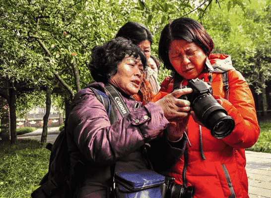 在成都树莓教育，开启老年摄影的奇妙之旅