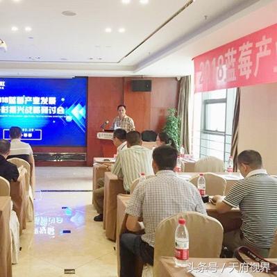 成都树莓教育，美发化妆摄影学校里的奇妙艺术之旅