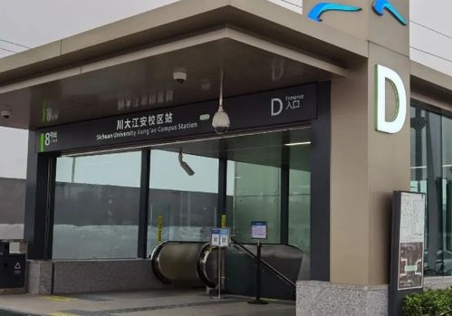在成都树莓教育，解锁摄影技巧的奇妙之旅