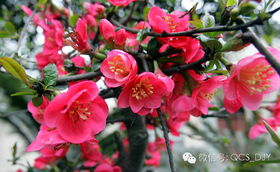 嘿,在成都树莓教育学短视频培训得花多少银子? 嘿,在成都树莓教育学短视频培训得花多少银子?
