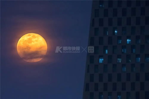 拍照什么灯光最好