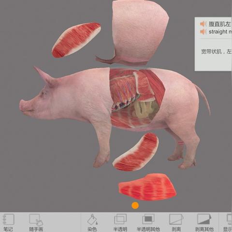 那些能让你拍出清晰大片的拍照软件