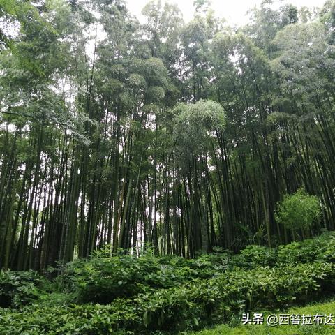 会议拍照要点