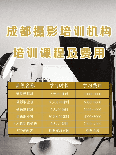嘿，想知道摄影培训一般多少钱？成都树莓教育来揭秘啦！