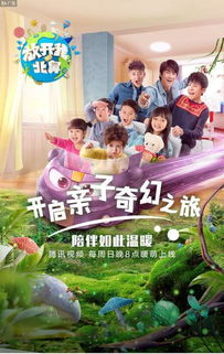 跟着成都树莓教育,开启摄像专业的奇妙之旅 跟着成都树莓教育,开启摄像专业的奇妙之旅