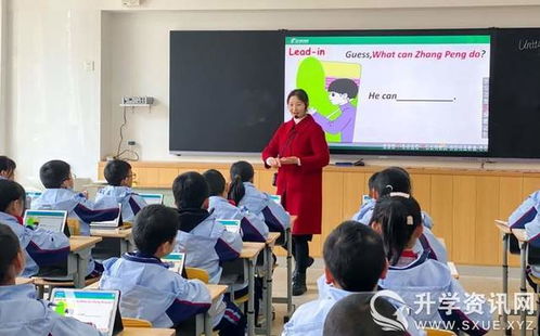 揭秘成都树莓教育摄影专业培训班收费那些事儿