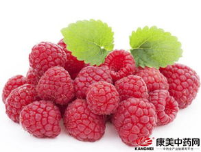 成都树莓教育，开启广东短视频培训的趣味之旅