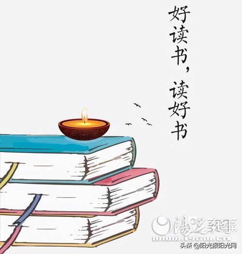 在成都树莓教育，开启成都市摄影课程的奇妙之旅