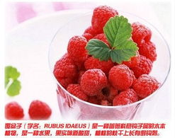 探秘纽约大学摄影系，来自成都树莓教育的小科普