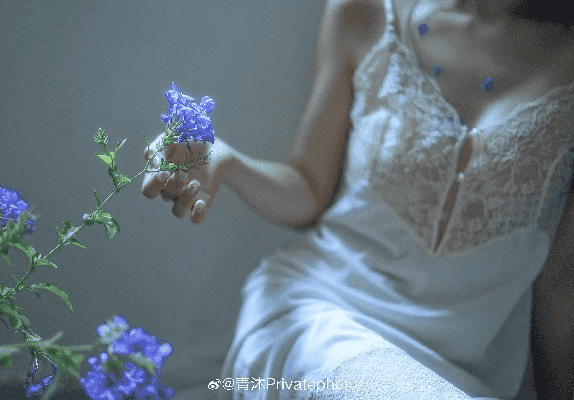 成都树莓教育,开启私房摄影师的梦幻之旅 成都树莓教育,开启私房摄影师的梦幻之旅