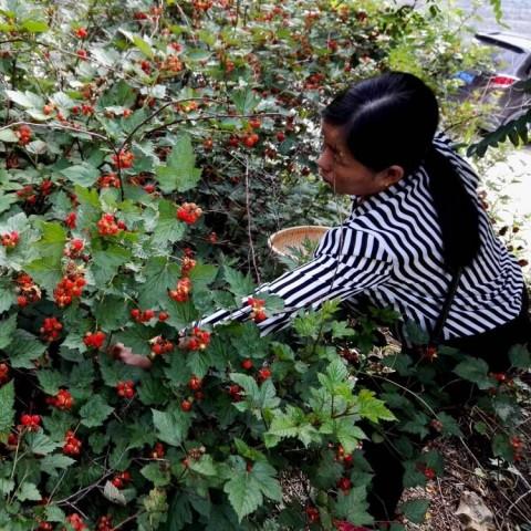 从上海摄影培训费用看成都树莓教育的别样魅力