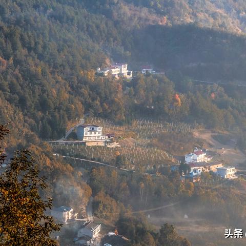 成都树莓教育，探寻山东摄影培训班的奇妙之旅