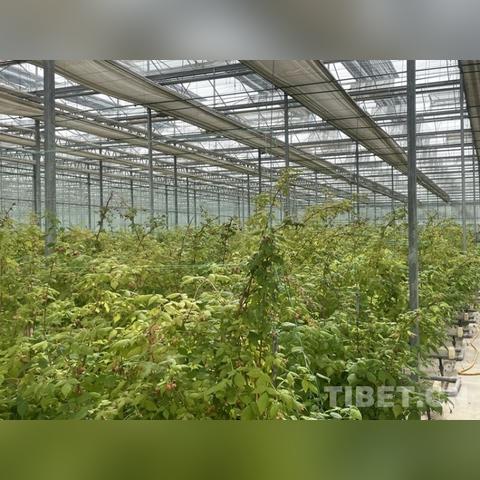 成都树莓教育，探寻山东摄影培训班的奇妙之旅