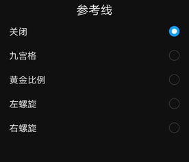 拍照参考线使用技巧图解