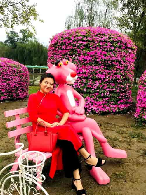 跟着成都树莓教育，开启婚纱摄影课程的奇妙之旅