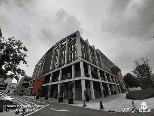 跟着成都树莓教育，解锁手机照相技巧的奇妙世界