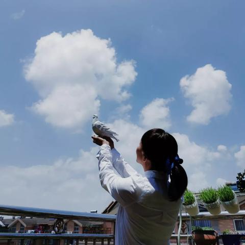手拿花怎么拍照好看