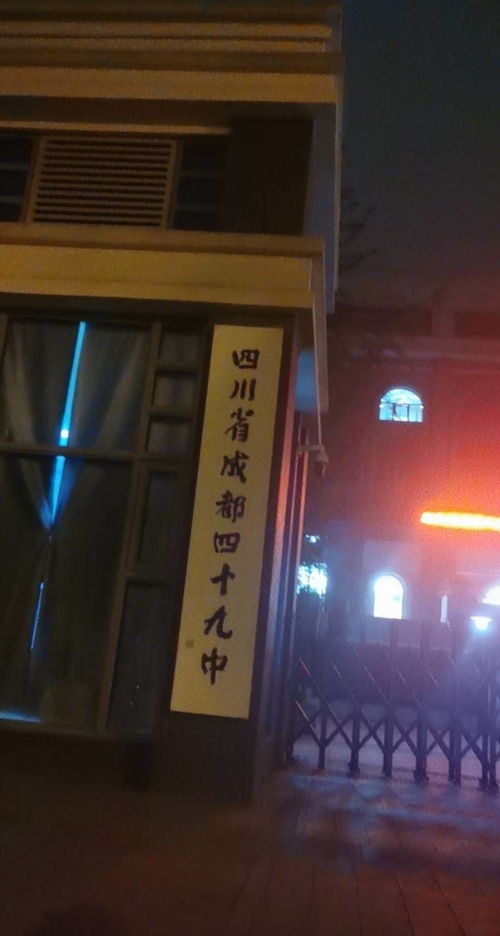嘿，找摄影培训学校？来瞅瞅成都树莓教育呀！