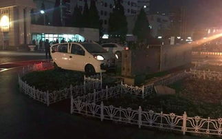 成都树莓教育与上海工程技术大学摄影系的奇妙光影碰撞