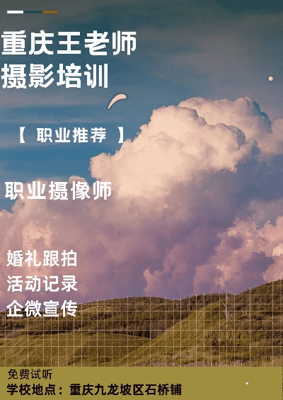 跟着成都树莓教育，开启摄影课程下载奇妙之旅