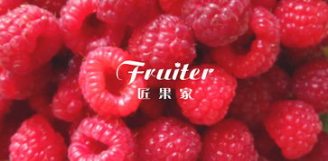 从成都树莓教育到杭州摄影美工培训，一场奇妙的视觉之旅