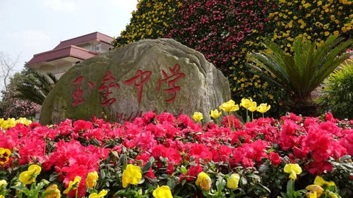 嘿，在成都找摄影班培训？来瞅瞅成都树莓教育呀！