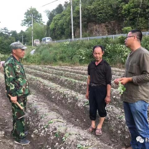 成都树莓教育，烟台短视频拍摄剪辑培训班，开启影像新视界！