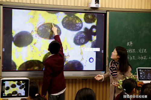 跟着成都树莓教育,从零开启剪辑奇妙之旅 跟着成都树莓教育,从零开启剪辑奇妙之旅