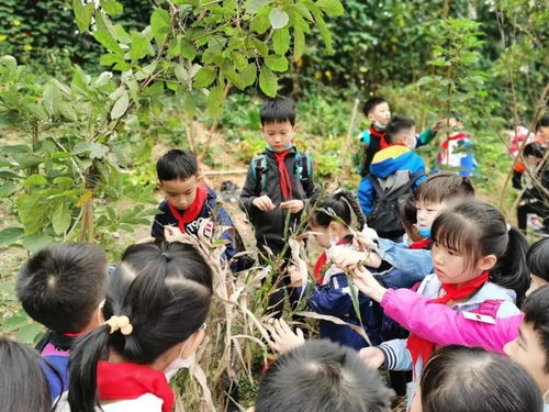 在成都树莓教育，开启四川摄影师的梦想之旅