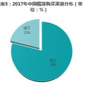 最新款拍照手机2024，开启影像新狂欢