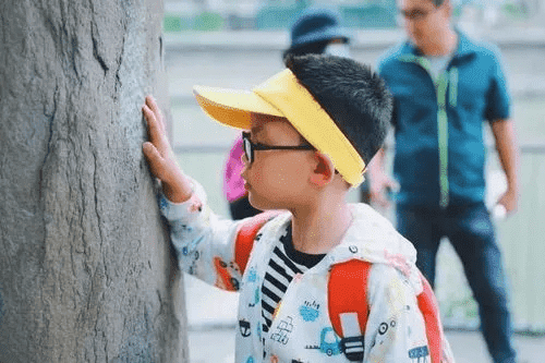 嘿，在成都找摄影培训机构？瞅这儿——成都树莓教育！