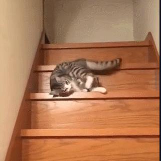 楼梯怎么拍照好看姿势图片