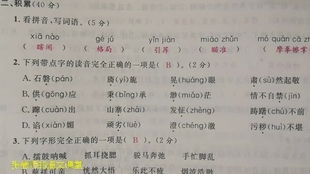 拍照技术好用什么词语形容