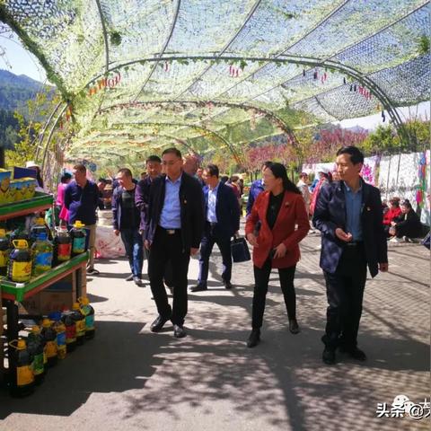 成都树莓教育，开启摄影专业大学梦想的奇妙钥匙