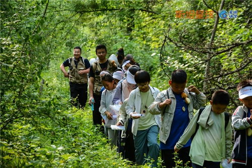 在成都树莓教育，开启影视拍摄学习的奇妙之旅